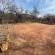 Lords and Ladies Bush Lodge - 279224