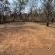 Lords and Ladies Bush Lodge - 279225