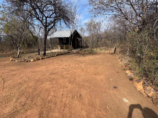 Lords and Ladies Bush Lodge - 279226