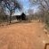 Lords and Ladies Bush Lodge - 279226