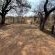 Lords and Ladies Bush Lodge - 279227