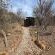 Lords and Ladies Bush Lodge - 279228