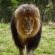 Mabalingwe Game Reserve - Natural landscape