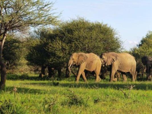 Mabalingwe Game Reserve - Natural landscape