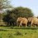 Mabalingwe Game Reserve - Natural landscape