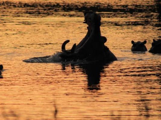 Mabalingwe Game Reserve - Natural landscape