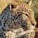 Mabalingwe Game Reserve - Natural landscape