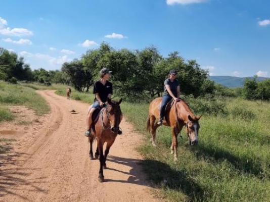 Mabalingwe Game Reserve - Natural landscape