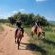 Mabalingwe Game Reserve - Natural landscape