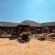 Mabalingwe Game Reserve - 279257
