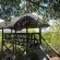 Mabalingwe Game Reserve - 279298