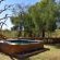 Mabalingwe Game Reserve - 279373