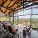 Mabalingwe Game Reserve - 279378