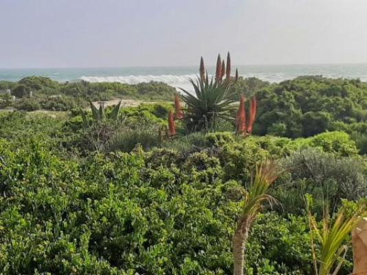 Wondersig Seafront Apartments - Sea view