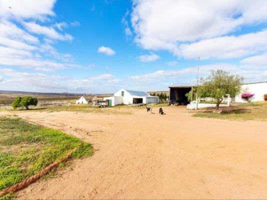 Wiggins Self Catering - Property / Building