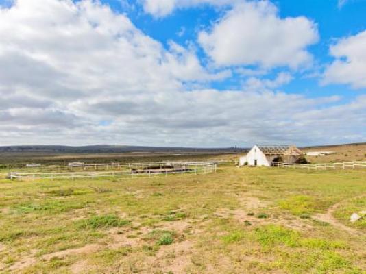 Wiggins Self Catering - Natural landscape