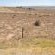 Wiggins Self Catering - Natural landscape