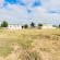 Wiggins Self Catering - Property / Building