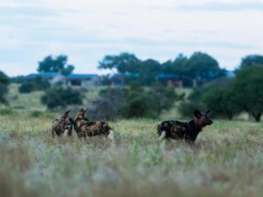 Walkers Plains Camp - Natural landscape