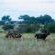 Walkers Plains Camp - Natural landscape