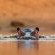 Walkers Plains Camp - Natural landscape