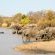 Walkers Plains Camp - Natural landscape
