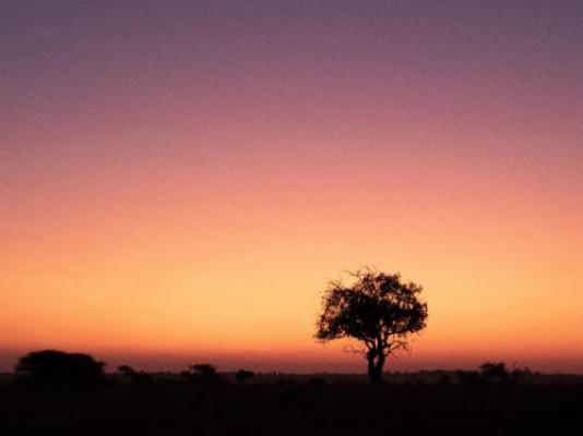 Walkers Plains Camp - Natural landscape