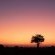 Walkers Plains Camp - Natural landscape
