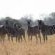 Walkers Plains Camp - Natural landscape