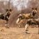 Walkers Plains Camp - Natural landscape