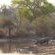 Walkers Plains Camp - Natural landscape