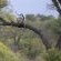 Walkers Plains Camp - Natural landscape