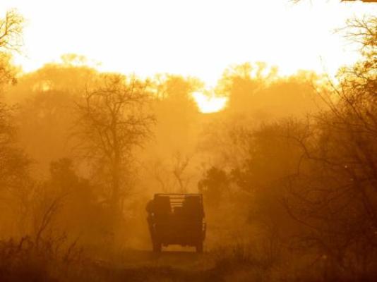 Walkers Plains Camp - Natural landscape