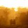 Walkers Plains Camp - Natural landscape