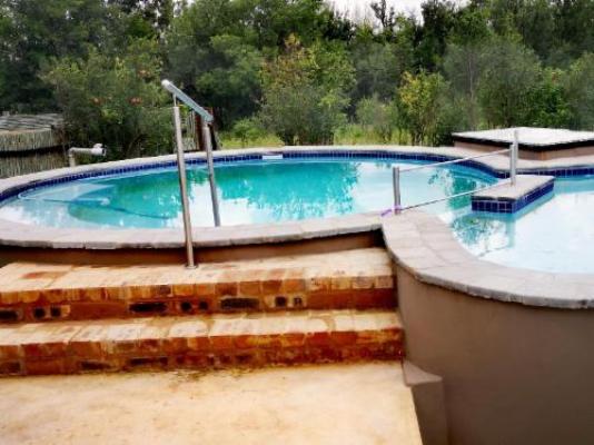 Vulture Creek - Swimming pool