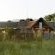 Vulture Creek - Property / Building