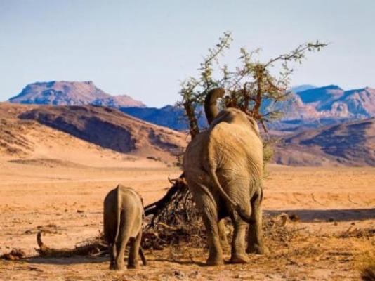 Twyfelfontein Country Lodge - Neighbourhood