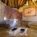 Twyfelfontein Country Lodge - 279777