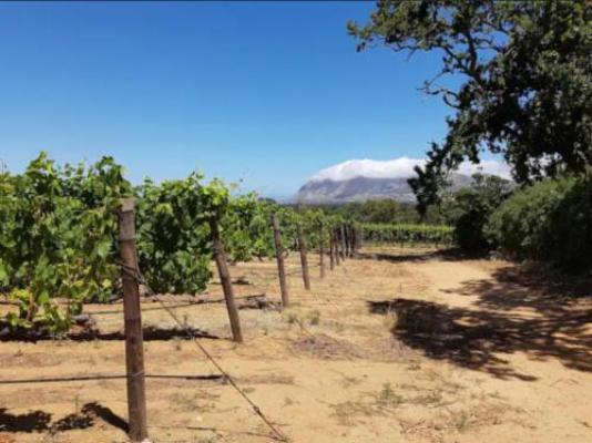 Champagne De Kleijne Bos Pty Ltd - Natural landscape