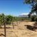 Champagne De Kleijne Bos Pty Ltd - Natural landscape