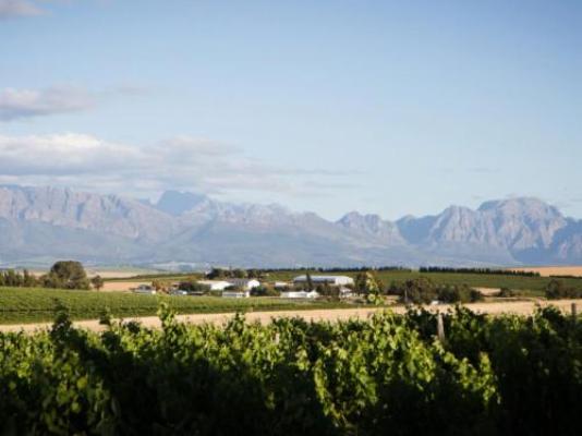 Doran Vineyards Country Estate - Property / Building