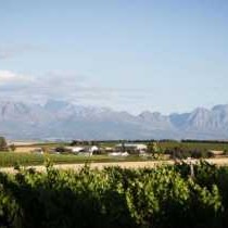 Doran Vineyards Country Estate - Property / Building