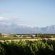 Doran Vineyards Country Estate - Property / Building