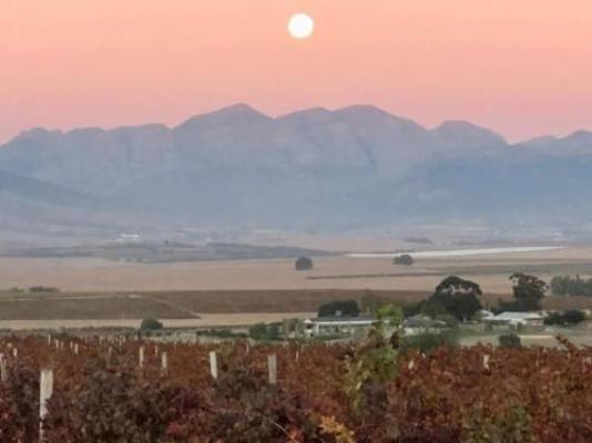 Doran Vineyards Country Estate - Natural landscape