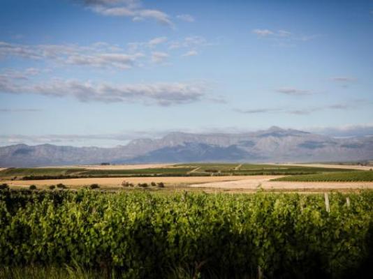 Doran Vineyards Country Estate - Natural landscape