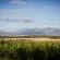 Doran Vineyards Country Estate - Natural landscape