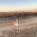 Doran Vineyards Country Estate - Street view