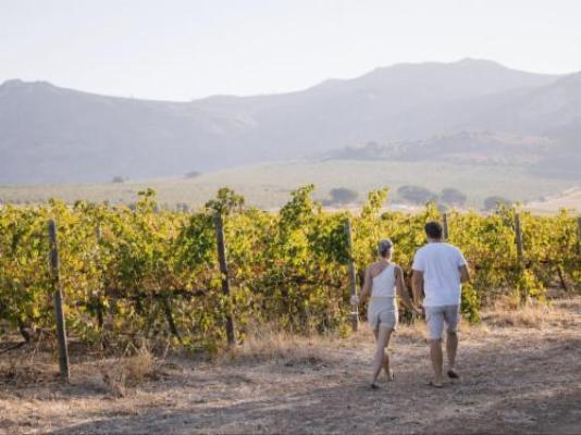 Doran Vineyards Country Estate - Natural landscape