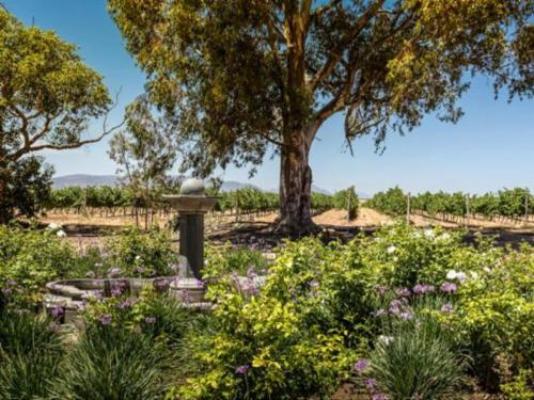 Doran Vineyards Country Estate - Garden