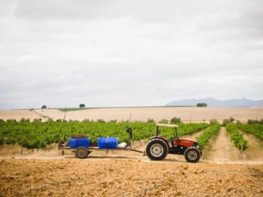 Doran Vineyards Country Estate - Natural landscape